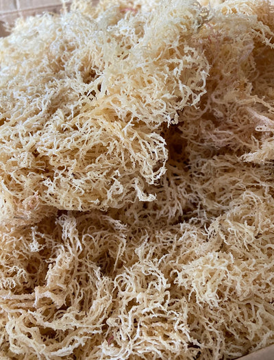 Sea moss